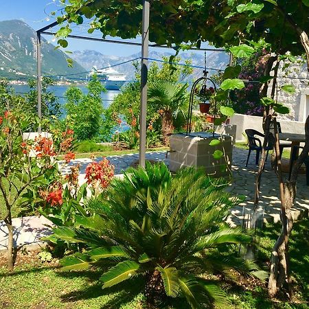 Studio Apartment Todorovic Kotor Zewnętrze zdjęcie