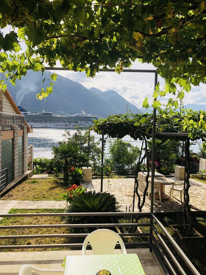 Studio Apartment Todorovic Kotor Zewnętrze zdjęcie