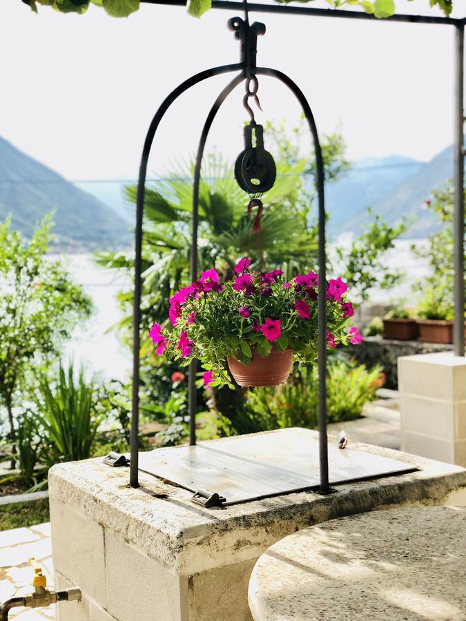 Studio Apartment Todorovic Kotor Zewnętrze zdjęcie