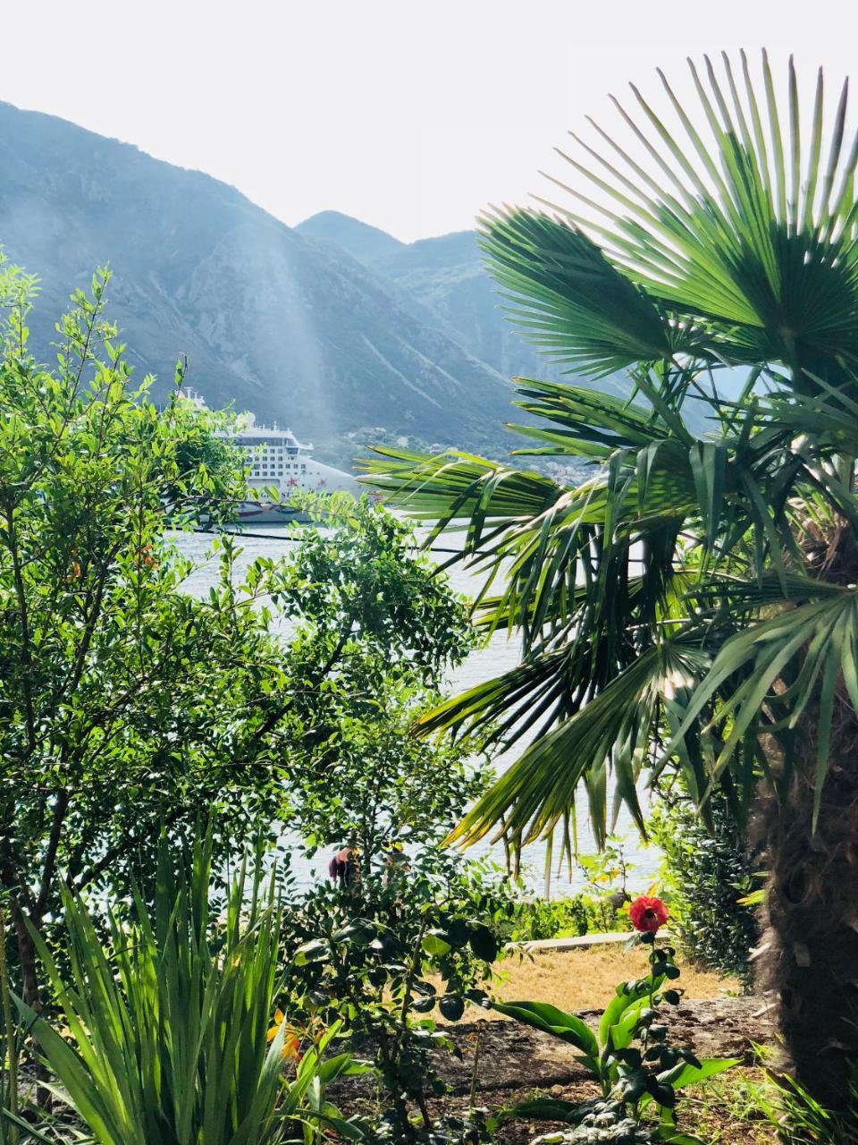 Studio Apartment Todorovic Kotor Zewnętrze zdjęcie